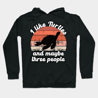 i like turtles and maybe three people Hoodie